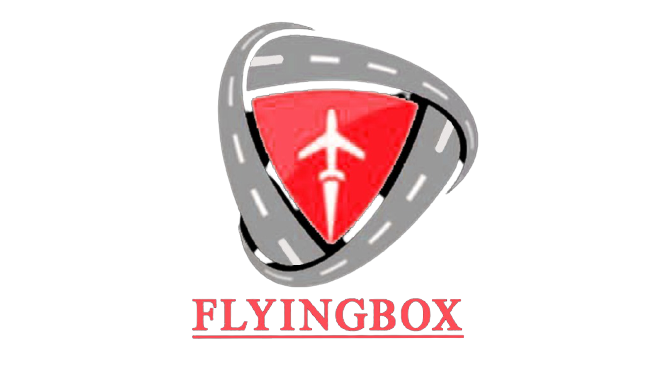 flying_logo.png